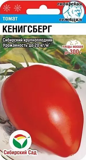 Семена Томат Кенигсберг Семена Томат Кенигсберг