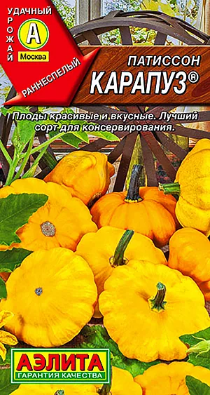 Семена Патиссон Карапуз