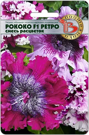 <blockquote>
</blockquote>
<div>
 Семена Петуния Рококо F1.<br>
 <br>
 Уникальная серия тетраплоидных гибридов петунии с очень необычными, гигантскими цветками, достигающими в диаметре 16 см. Прекрасно подходят для вазонов, кашпо, балконных ящиков и клумб.
</div>
 <br>
 Цветки воронковидной формы с сильно волнистым краем, собранным в жабо. Сердцевина сильно темнее краев цветка с сеткой прожилок. Растения обладают мощным ростом и сильно укороченными междоузлиями. Высота растения 30-35 см.
<p>
 Высадка: посев на рассаду производится с февраля по март. Драже высеваются в рассадные ящики на поверхность подготовленного стерильного грунта. Драже грунтом не присыпаются. Очень важно следить, чтобы высеянные драже были постоянно увлажнены и не пересыхали.
</p>
<p>
 Прорастание: всходы появляются на 14-20день, при температуре проращивания 18-20°С.
</p>
<p>
 Пикировка: с марта по апрель проводят пикировку сеянцев в кассеты 3x3 см. Температура выращивания 15-17°С. С апреля по май производится пересадка в горшки диаметром 9 см. В горшках доращивание производится при температуре 12-16°С. Такая температура, позволяет получить хорошо развитую коренастую рассаду. Возраст рассады перед высадкой на постоянное место должен составлять три месяца.
</p>