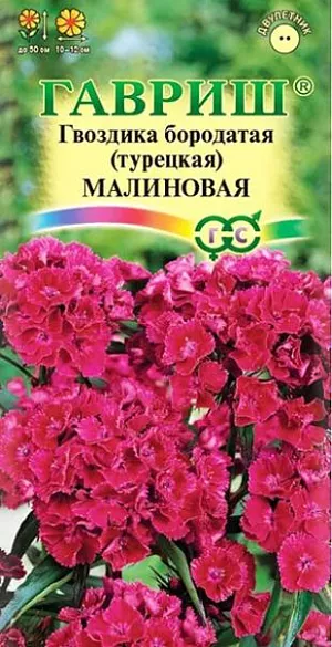 <div>
 Семена Гвоздика бородатая (турецкая) Малиновая.
</div>
 <article>
<p>
 Травянистое двулетнее растение с многочисленными узловатыми стеблями высотой 50 см. Стебли прямые, прочные, листья сидячие, ланцетные с серо-голубым оттенком. Цветки бархатистые, ароматные, малиновые, собраны в плотные щитковидные соцветия. Зимостойка, предпочитает освещенные участки с легкими плодородными почвами, может расти в полутени. 
</p>
<p>
 Размножают посевом семян в грунт весной или под зиму. Оптимальная температура для прорастания семян 20°C. Всходы появляются через 7-10 дней. Сеянцы пикируют или продергивают, выдерживая расстояние между ними в 5 см. Подросшие растения рассаживают на постоянное место. Цветет в июне-июле на второй год после посева. Используют для цветников, бордюров и получения высококачественной срезки.
</p>
 </article>