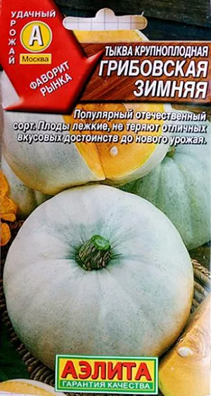 Семена Тыква крупноплодная Грибовская зимняя
